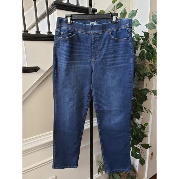 Terra & Sky Jeans Womens 14W Blue Denim Pockets High Rise Waistband Skinny Leg - Picture 2 of 8